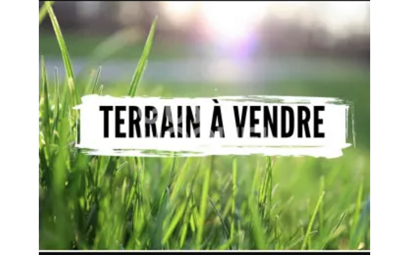 Terrain